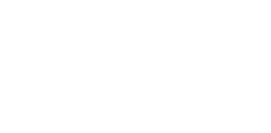 Saylor Mapping Solutions
